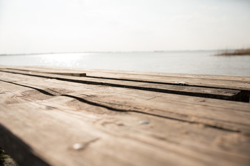 Holzlanke vor Elbe