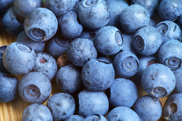 Bilberry Close Up