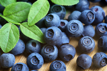 Bilberry Close Up