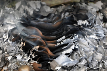 The process of burning paper. A stack of burnt paper with smoke and ash. Close-up.