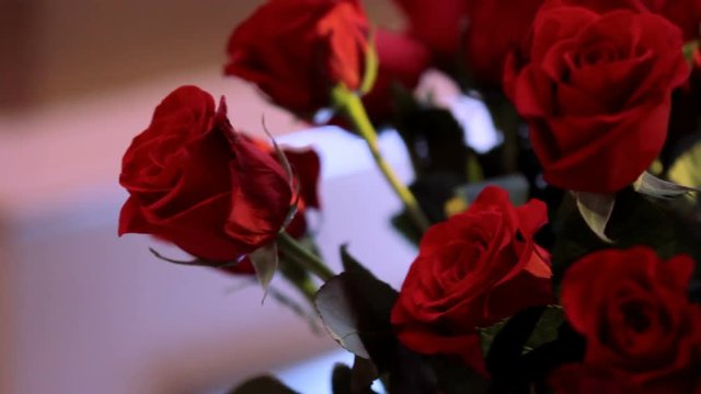 A group of red roses in a vase.