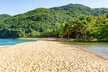 Strand Grande Anse, bei Deshaies, Basse-Terre, Guadeloupe, Karibik