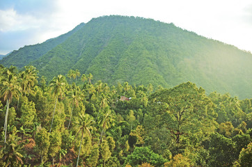 Fototapeta na wymiar Volcano in jungle