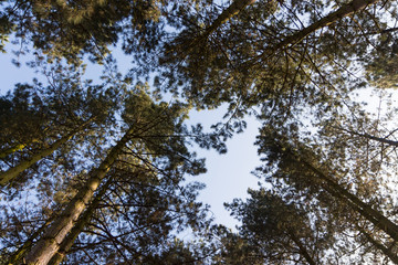 Winter time in a local park
