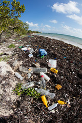 Plastic Bottles Washed Ashore on Beach
