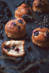 muffin with currants on a dark background next to the berries on the branches. in a rustic style. dark style