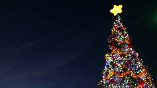 Tilt up of a big outdoor decorated Christmas tree located in a town.