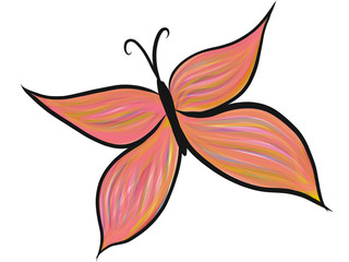 Obraz na płótnie Canvas Colour illustrated butterfly