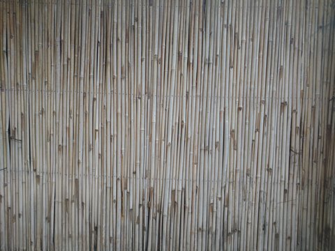 Small sundried bamboo wall