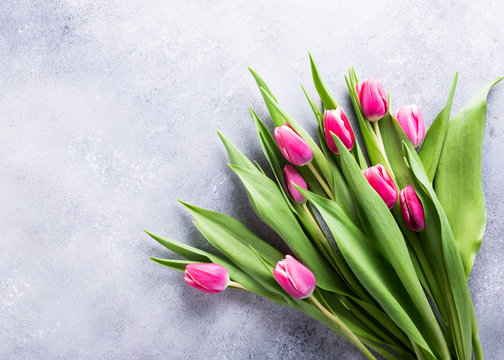 Beautiful pink tulips on light stone background. Easter day concept. Copy space.
