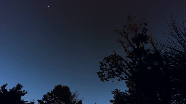 Time-lapse of the stars in the backyard of a suburban home in 4K. 