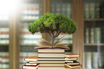 tree growing in open-book with more stacked books