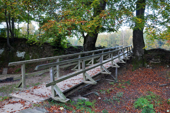 Autumn landscape with wooden bridge and old trees