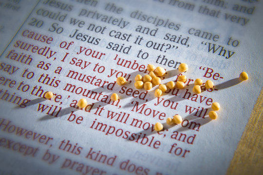 Mustard seeds on a open Bible page illustrating the verse - if you have faith as small as a mustard seed- Matthew 17:20