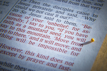 Mustard seeds on a open Bible page illustrating the verse - if you have faith as small as a mustard...