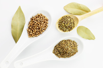 Various spices oregano, coriander seeds, bay leaves and cumin seeds