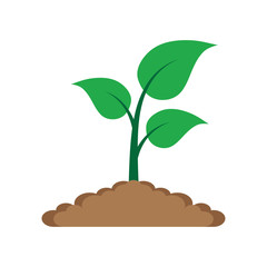 Sprout in the ground.