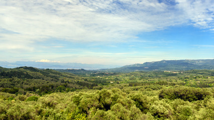 Fototapeta na wymiar Corfu also know as Green Island, covered with wild olive trees and cypresses. Europe