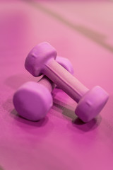 Dumbbell in the gym