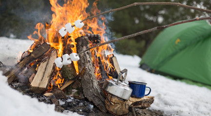 .Mug stands on a log near the fire at a campsite