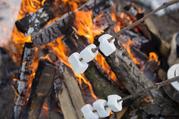 .Mug stands on a log near the fire at a campsite