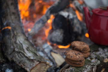 .Mug stands on a log near the fire at a campsite