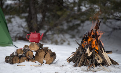 .Mug stands on a log near the fire at a campsite