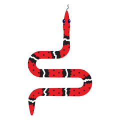 Fototapeta premium Micrurus red snake cartoon vector illustration on white. Reptile desert animal.