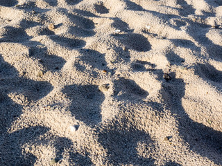 Am Strand