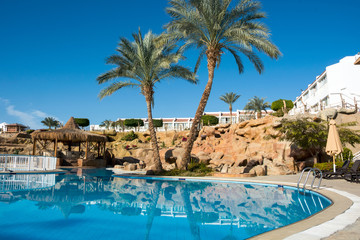 Palm trees and sun loungers by the pool