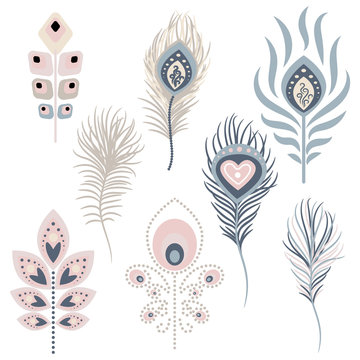 Peacock feathers vector illustration clipart. Pale pink and blue peafowl bird exotic hackles.