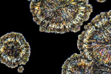 microscopic Loperamide crystals