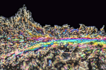 microscopic Loperamide crystals