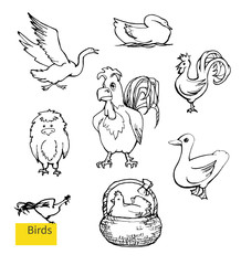 Vector set of poultry yard sketches.