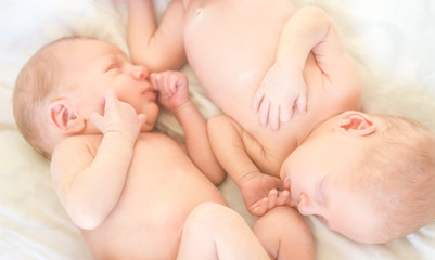 newborn twin babies portrait