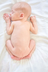 newborn baby portrait