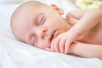 newborn baby portrait