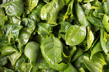 Fresh spinach close up