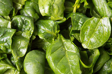 Fresh spinach close up