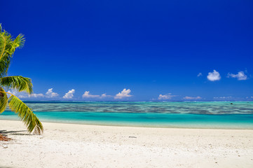 Stunning wide angle view of a beautiful beach on the remote island of Aitutaki, north of the main...