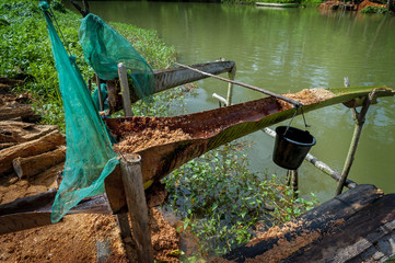 Sago Making. Sago is extracted from the sago palm by cutting the pith from the stem, root, grinding...