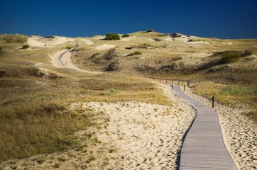 Gray dunes