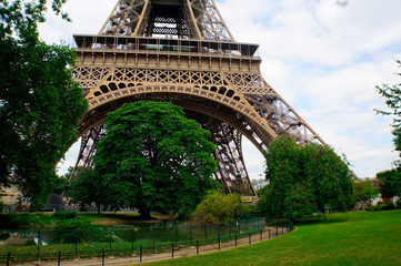 Trees under the Eifel Tower