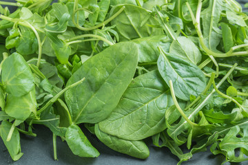 Fresh green salad