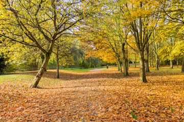 Obraz premium Autumn time in Middle England