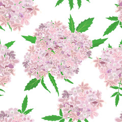 Pink Flowers pattern on white background
