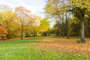Middle England countryside