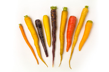 カラフルにんじん　 Colorful carrot