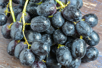  Dark grapes bunch