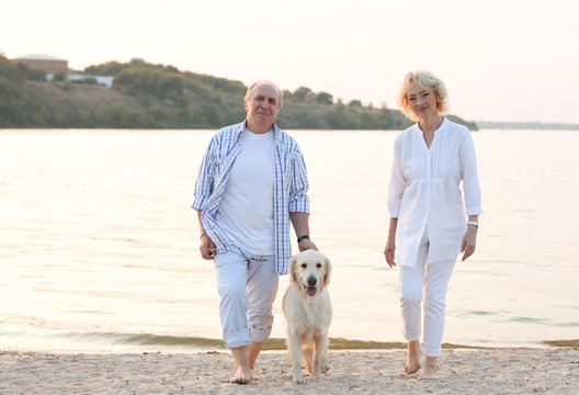 Senior couple and big dog walking on riverside